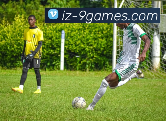 九游官网服务体系